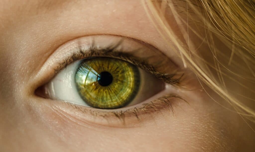 העין ירוקה